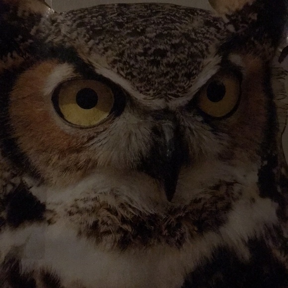 illuminations29